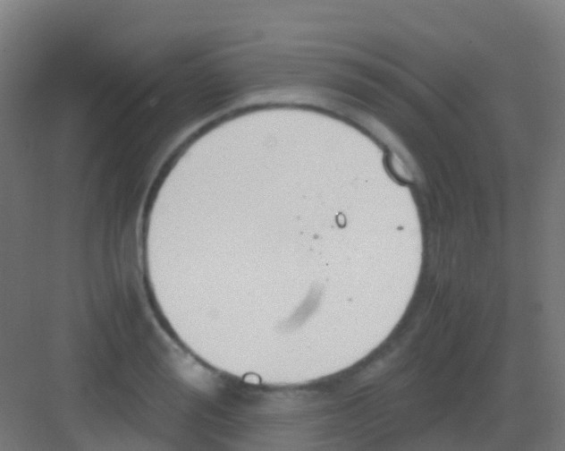 X0000081310988200702082106