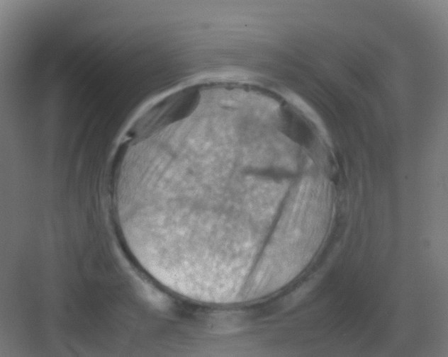 X0000081310989200702082106