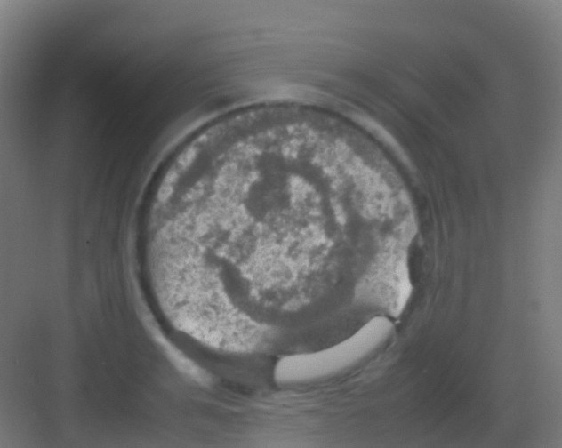 X0000081310991200702082106