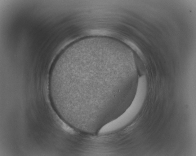 X0000081310992200702082106