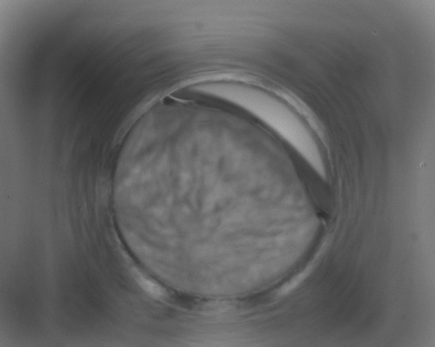 X0000081310993200702082105