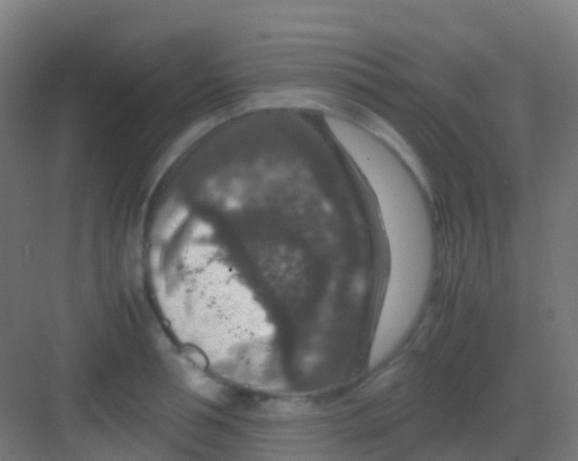 X0000081310994200702082105