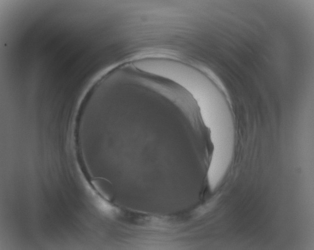 X0000081310995200702082105