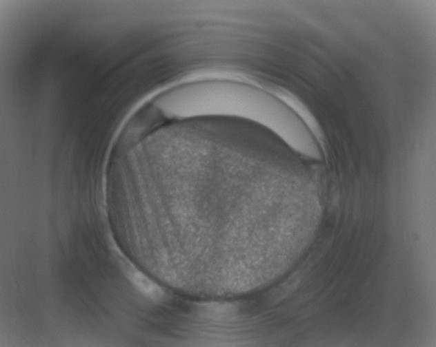 X0000081310996200702082105