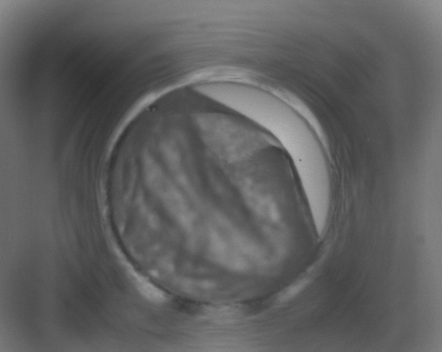 X0000081310997200702082105