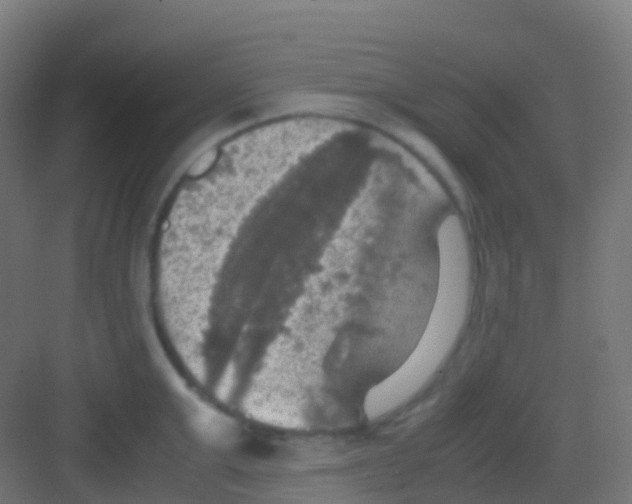 X0000081310999200702082105