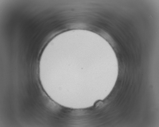 X0000081311000200702082105