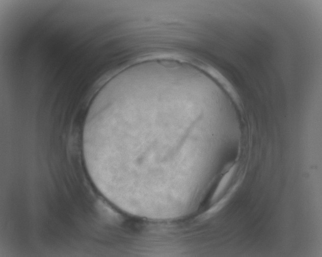 X0000081311001200702082105