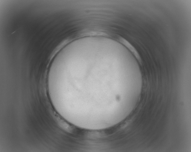 X0000081311002200702082105