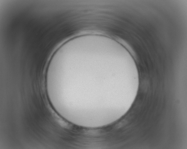 X0000081311004200702082105