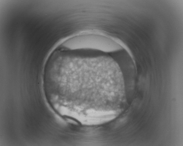 X0000081311005200702082105