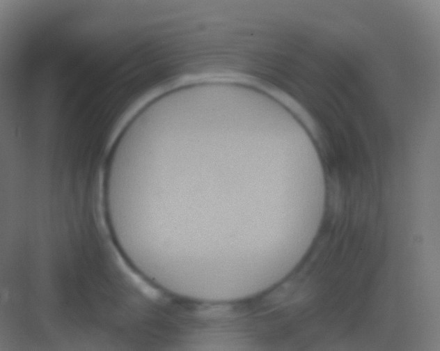 X0000081311006200702082105