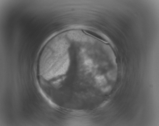 X0000081311007200702082105