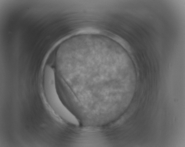 X0000081311008200702082105