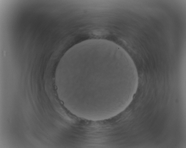 X0000081311009200702082104