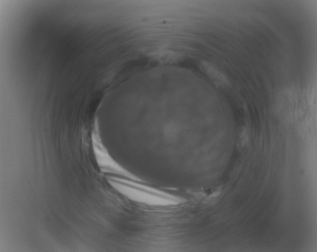 X0000081311010200702082104