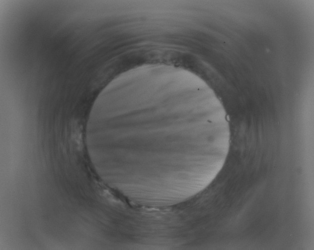 X0000081311013200702082104