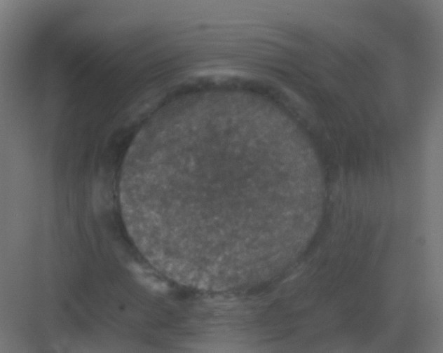 X0000081311014200702082105