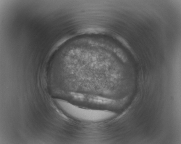 X0000081311018200702082105