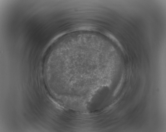 X0000081311019200702082105