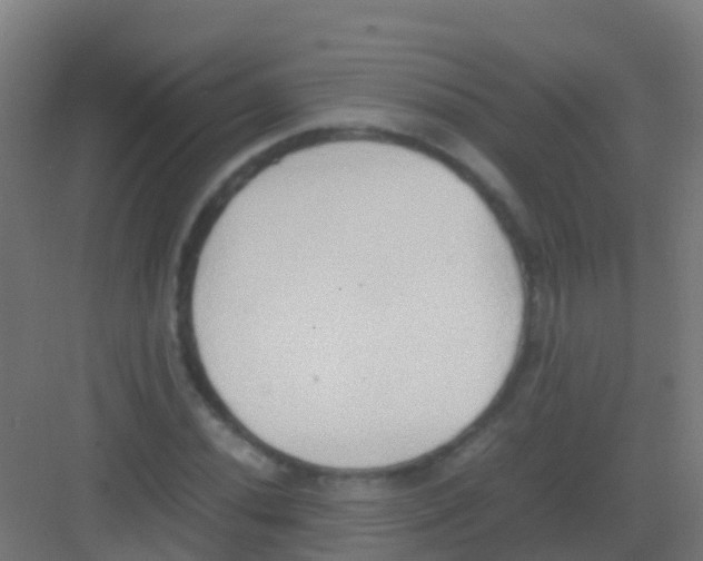 X0000081311020200702082105