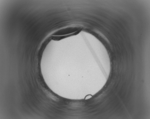 X0000081311021200702082105