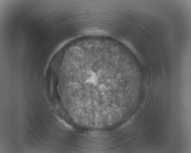 X0000081311022200702082105