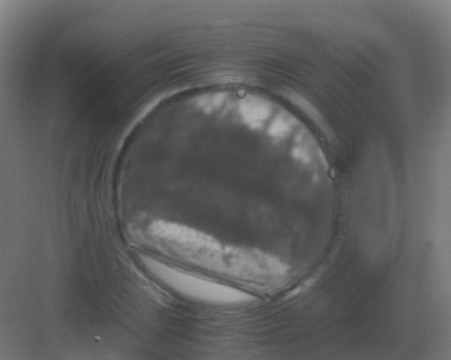 X0000081311023200702082105