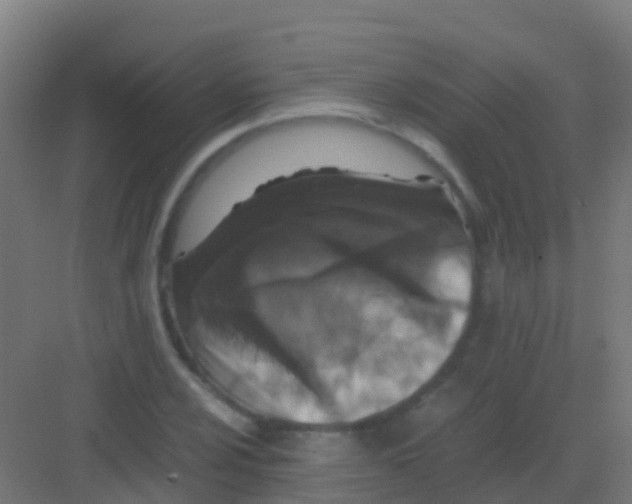 X0000081311024200702082105