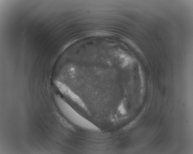 X0000081311025200702082105