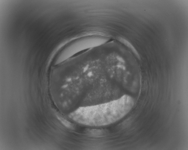 X0000081311027200702082105