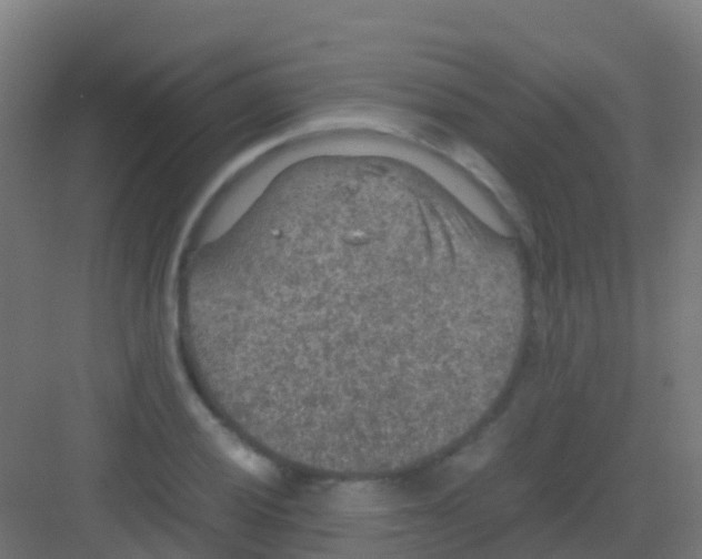 X0000081311028200702082105