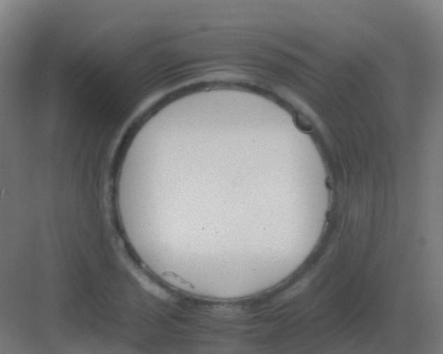 X0000081311029200702082105