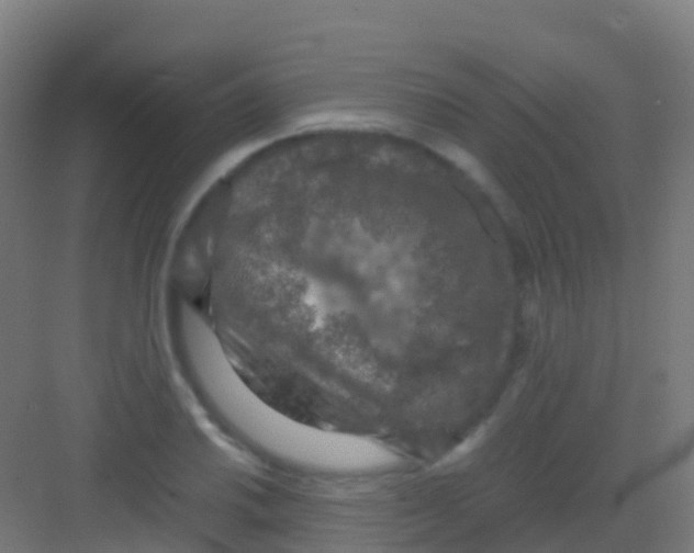 X0000081311030200702082105