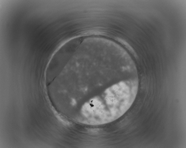 X0000081311031200702082105