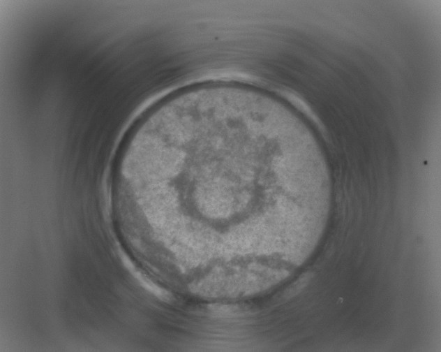 X0000081311032200702082105