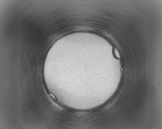 X0000081311033200702082105