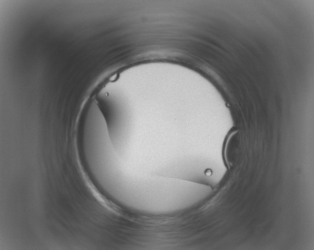 X0000081311034200702082105