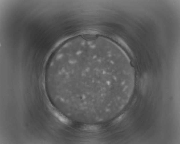 X0000081311035200702082105