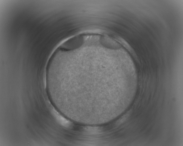 X0000081311036200702082105