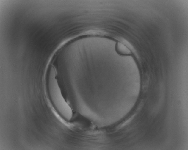 X0000081311037200702082105