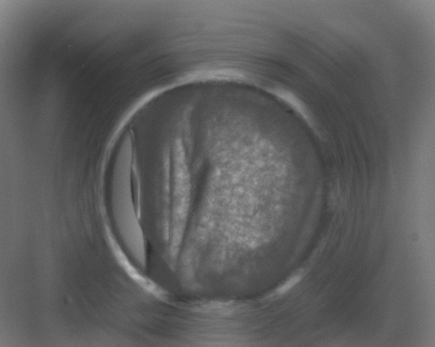 X0000081311038200702082105