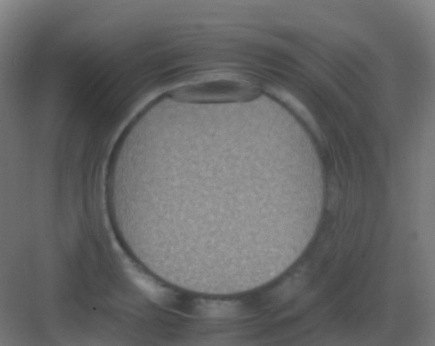 X0000081311039200702082105