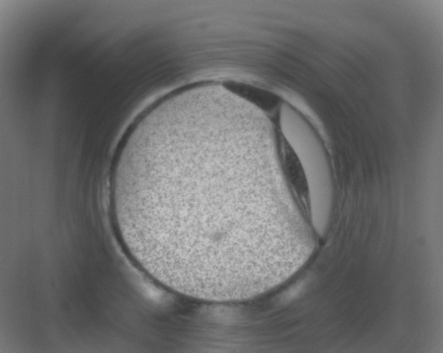 X0000081311040200702082105