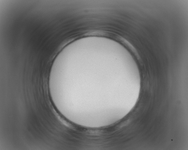 X0000081311041200702082105