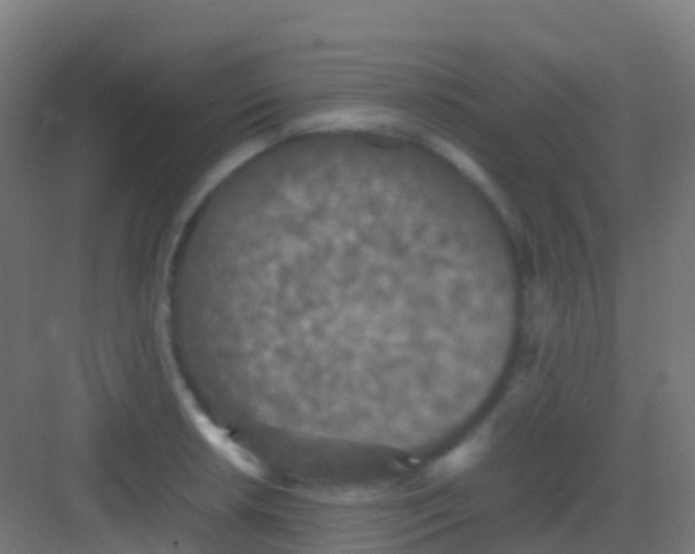 X0000081311042200702082105