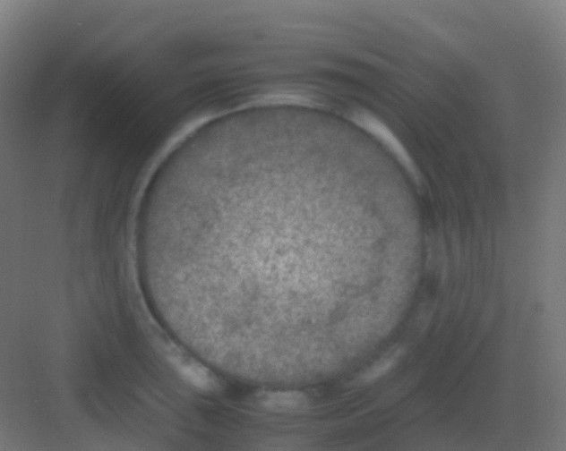 X0000081311043200702082105