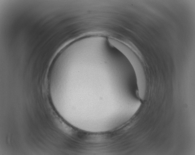 X0000081311044200702082105