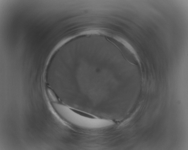 X0000081311045200702082105