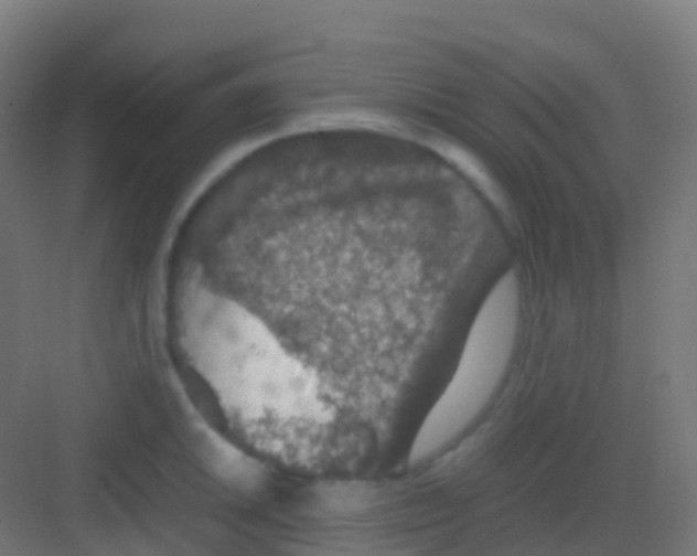 X0000081311046200702082105